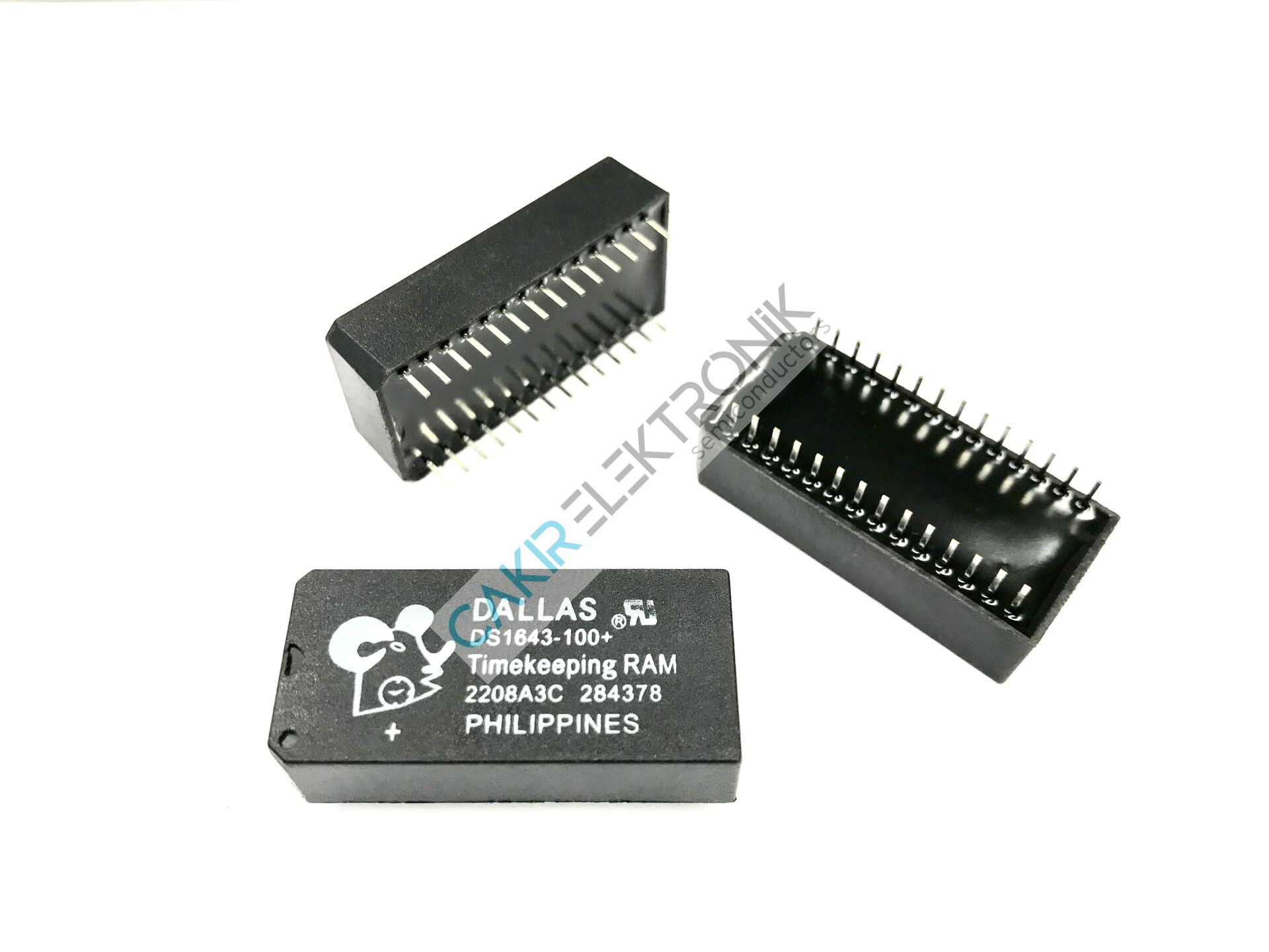 DS1643-100 - DS1643 - DS1643-100+  Nonvolatile Timekeeping RAMs