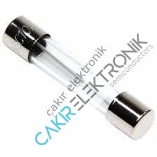 100MA 0.1A. CAM SİGORTA 6X30MM 10 ADETTİR