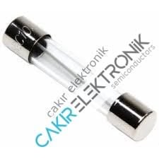 200MA 0.2A. CAM SİGORTA 6X30MM